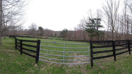 Enlarge photo 39