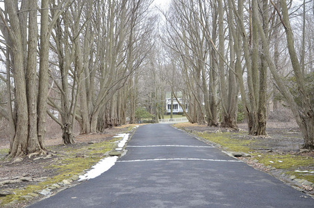 Enlarge photo 67