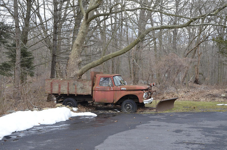 Enlarge photo 66
