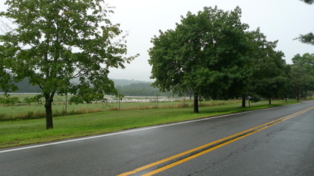 Enlarge photo 53
