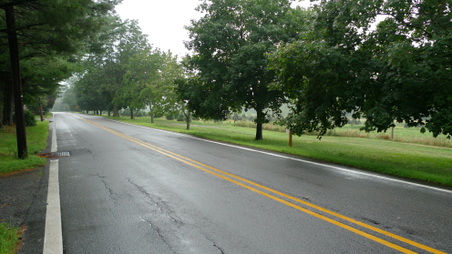 Enlarge photo 51