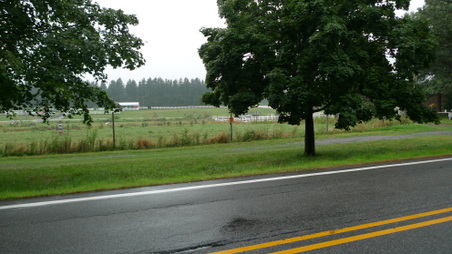 Enlarge photo 49