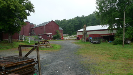 Enlarge photo 34