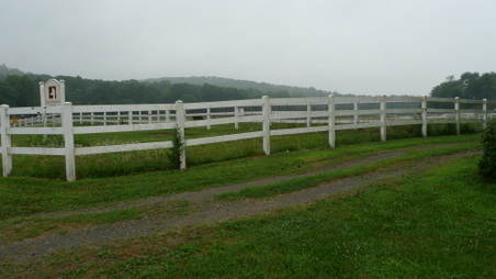 Enlarge photo 21