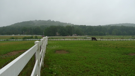 Enlarge photo 18