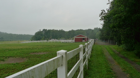 Enlarge photo 16
