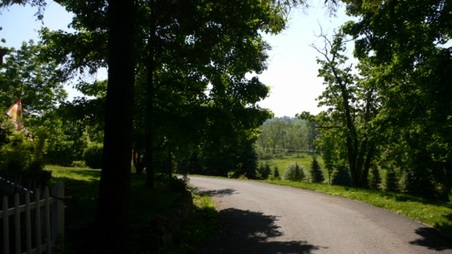 Enlarge photo 11