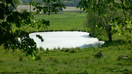 Enlarge photo 22