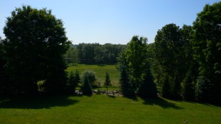 Enlarge photo 25