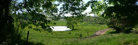 Enlarge photo 26