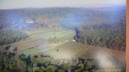 Enlarge photo 28