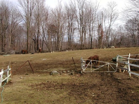 Enlarge photo 19