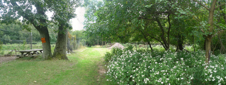 Enlarge photo 34