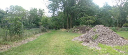 Enlarge photo 35