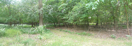 Enlarge photo 36