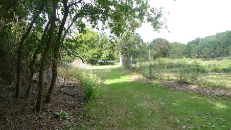 Enlarge photo 37
