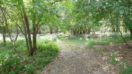 Enlarge photo 38