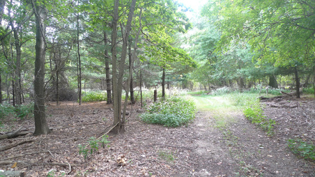 Enlarge photo 39