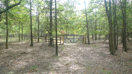 Enlarge photo 40