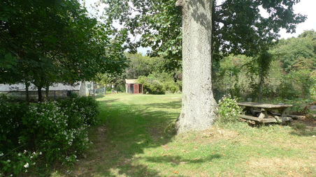 Enlarge photo 41