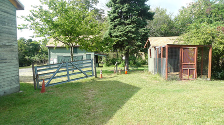 Enlarge photo 42