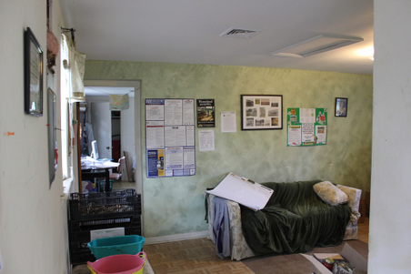 Enlarge photo 13