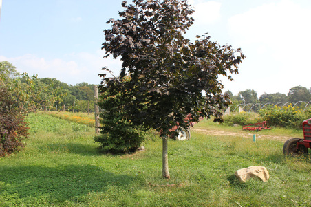 Enlarge photo 22