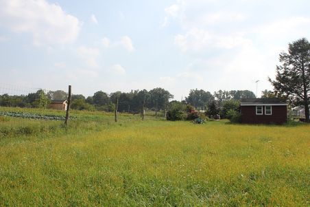 Enlarge photo 30