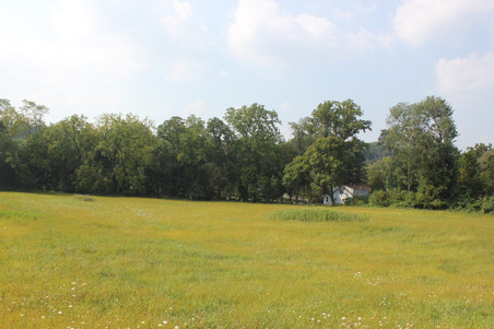Enlarge photo 32