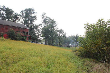 Enlarge photo 33