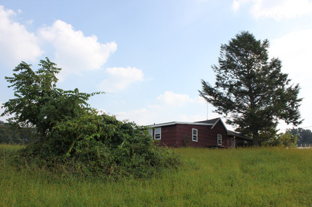 Enlarge photo 35