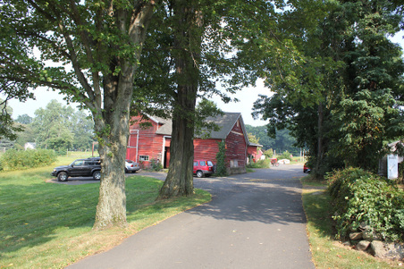 Enlarge photo 42