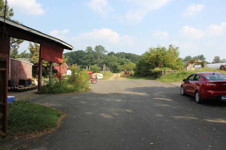 Enlarge photo 43
