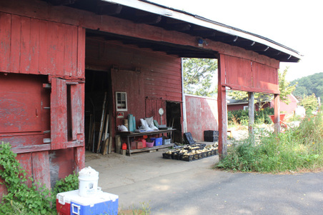 Enlarge photo 44