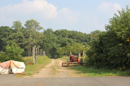Enlarge photo 45