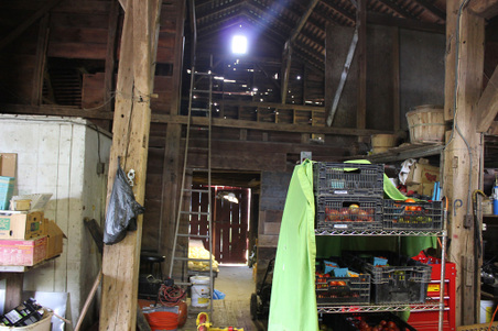 Enlarge photo 48