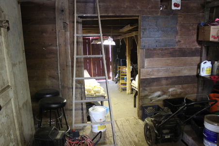 Enlarge photo 50