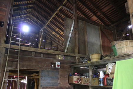 Enlarge photo 51