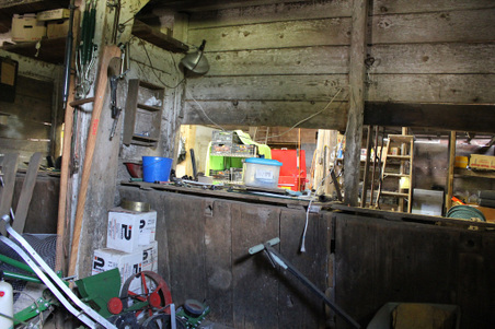 Enlarge photo 55