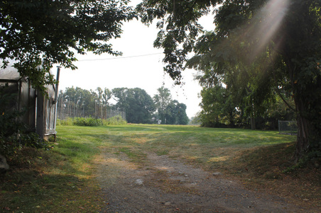 Enlarge photo 63