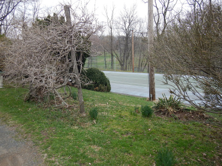 Enlarge photo 29