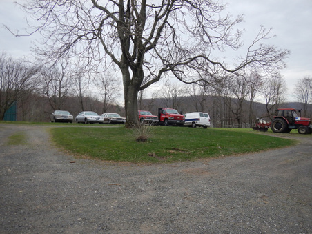 Enlarge photo 39