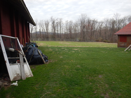 Enlarge photo 45
