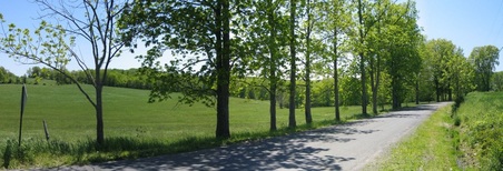 Enlarge photo 4