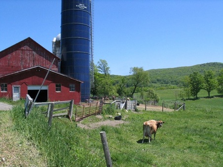 Enlarge photo 11