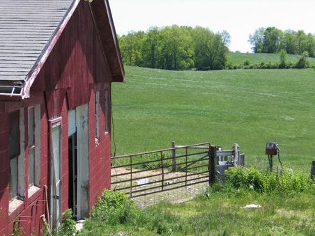Enlarge photo 13