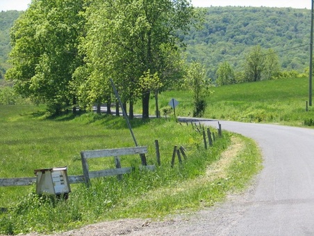 Enlarge photo 15