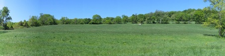 Enlarge photo 7