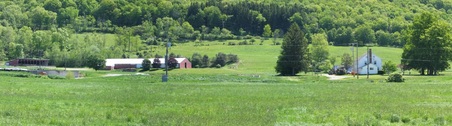 Enlarge photo 8