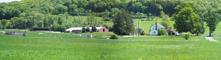 Enlarge photo 9